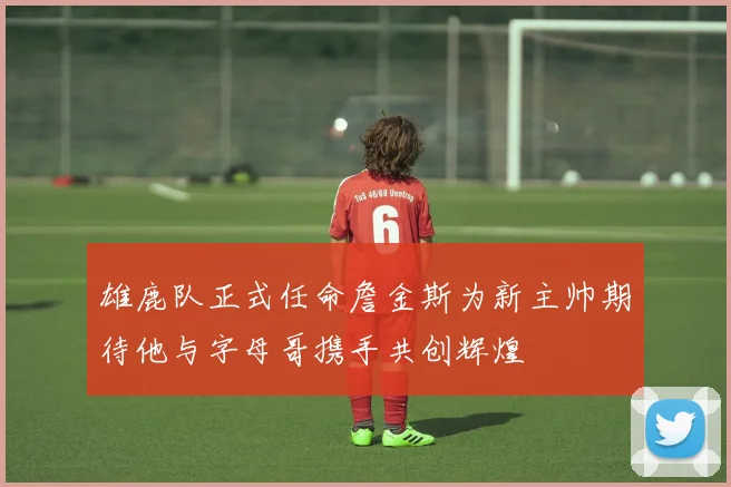 雄鹿队正式任命詹金斯为新主帅期待他与字母哥携手共创辉煌